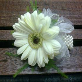 fwthumb03 Gerbera wrist corsage 20.00.jpg